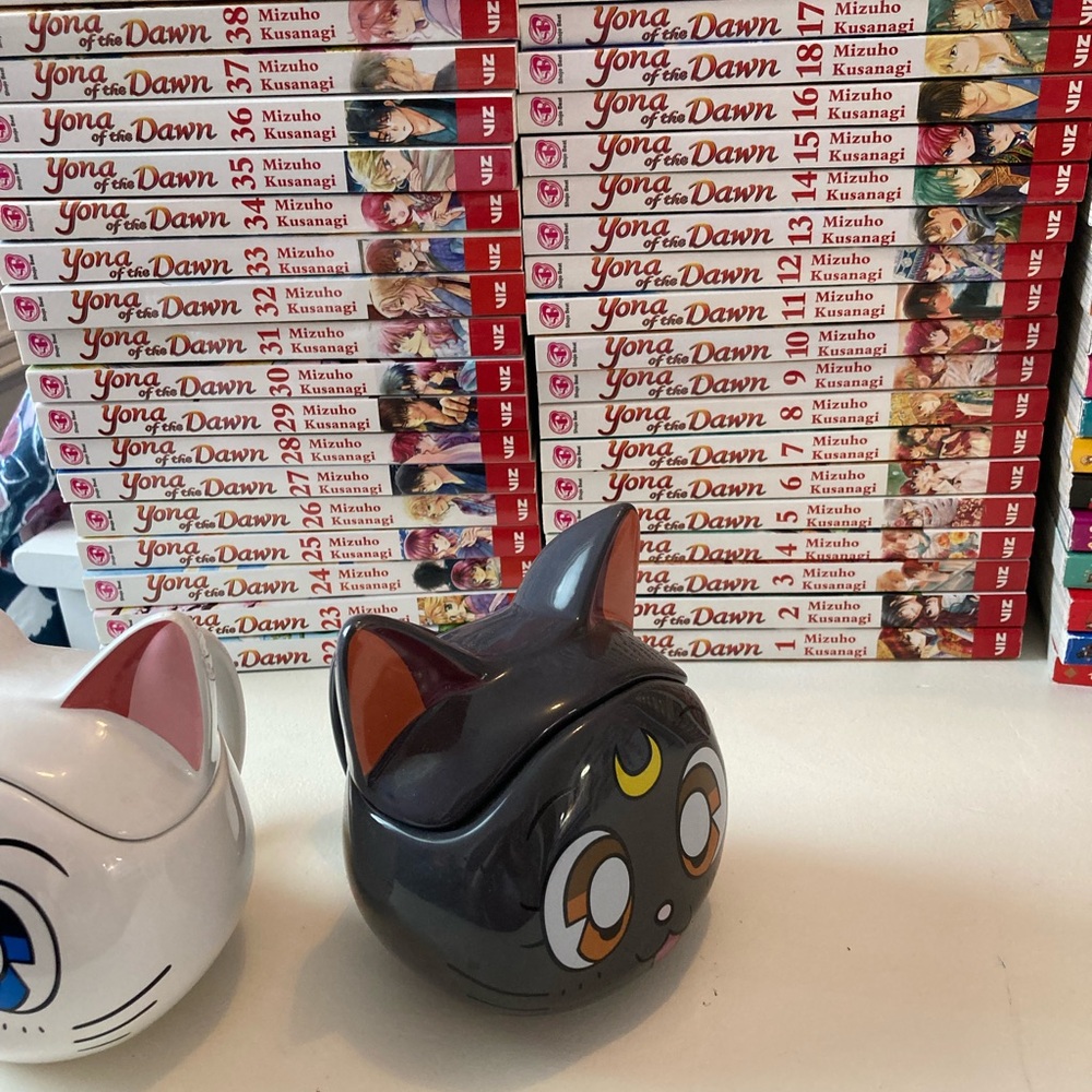 Manga lot
